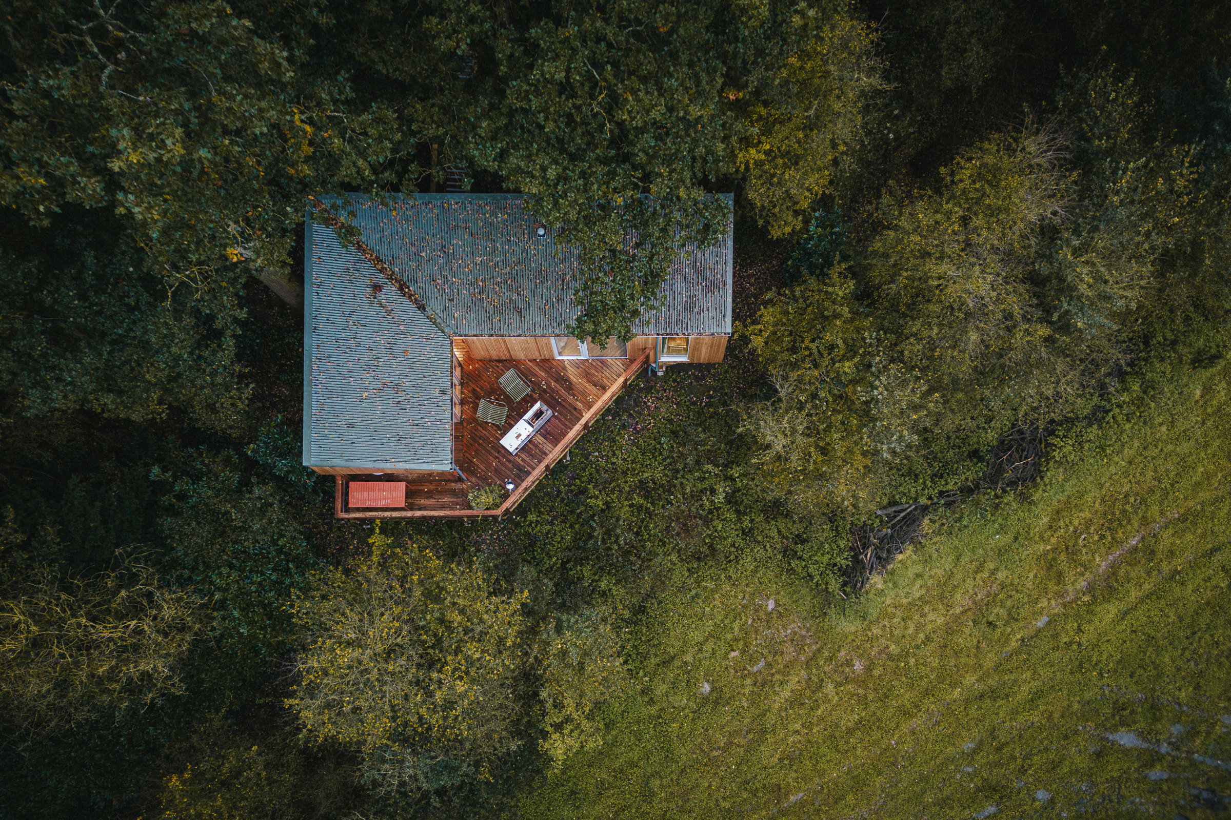 Elmore Estate Wild2Brett Charles