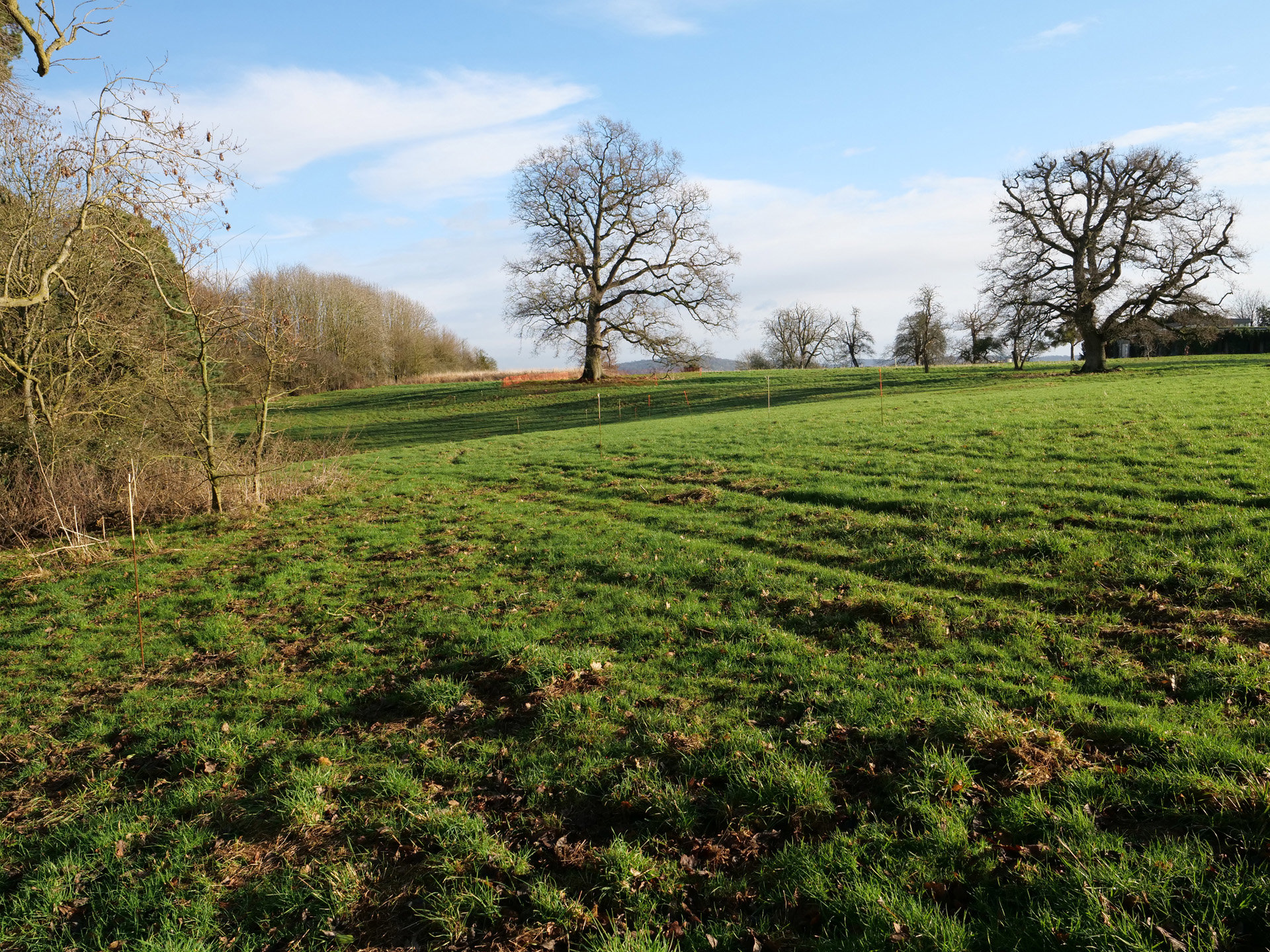 Treehouse Project Uk