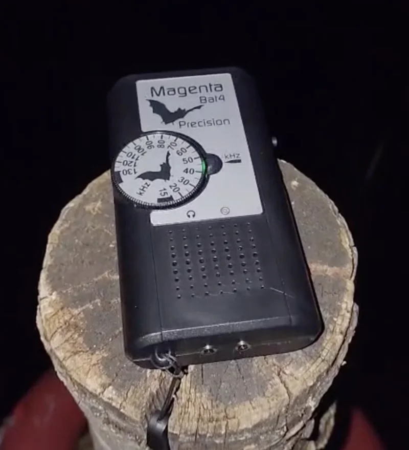 Bat detector at Elmore Estate