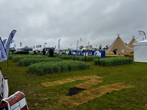 Cereals Event 2026.png