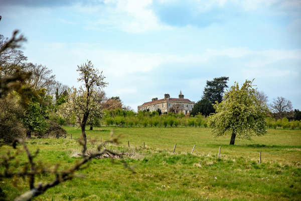 View from the rewilding project to the mansion house at sustainable natural wedding venue Elmore Court