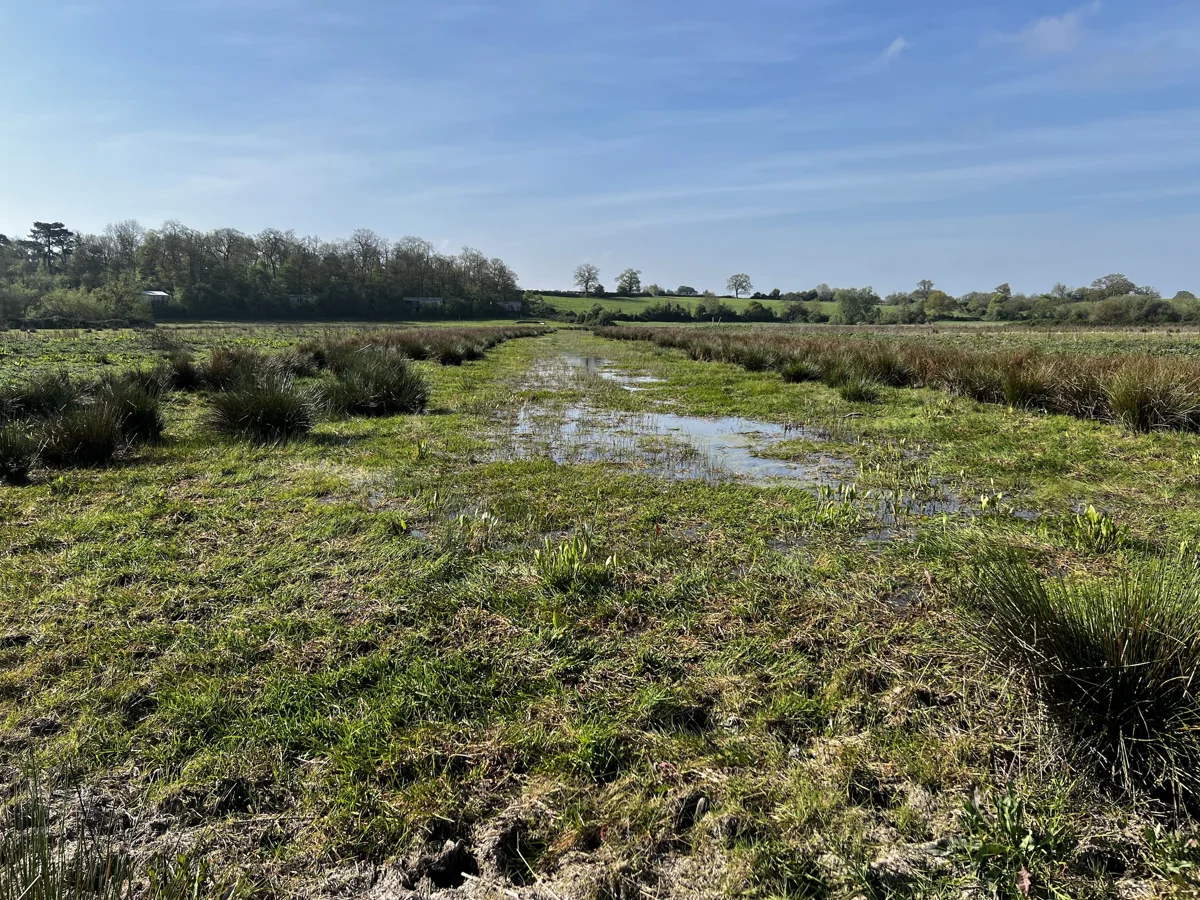 scrapes low water level on Elmore Estate