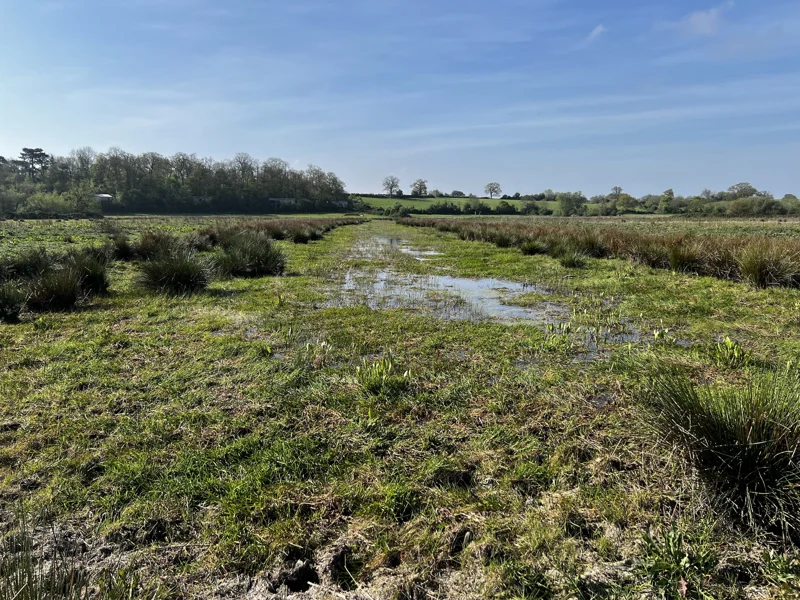 scrapes low water level on Elmore Estate