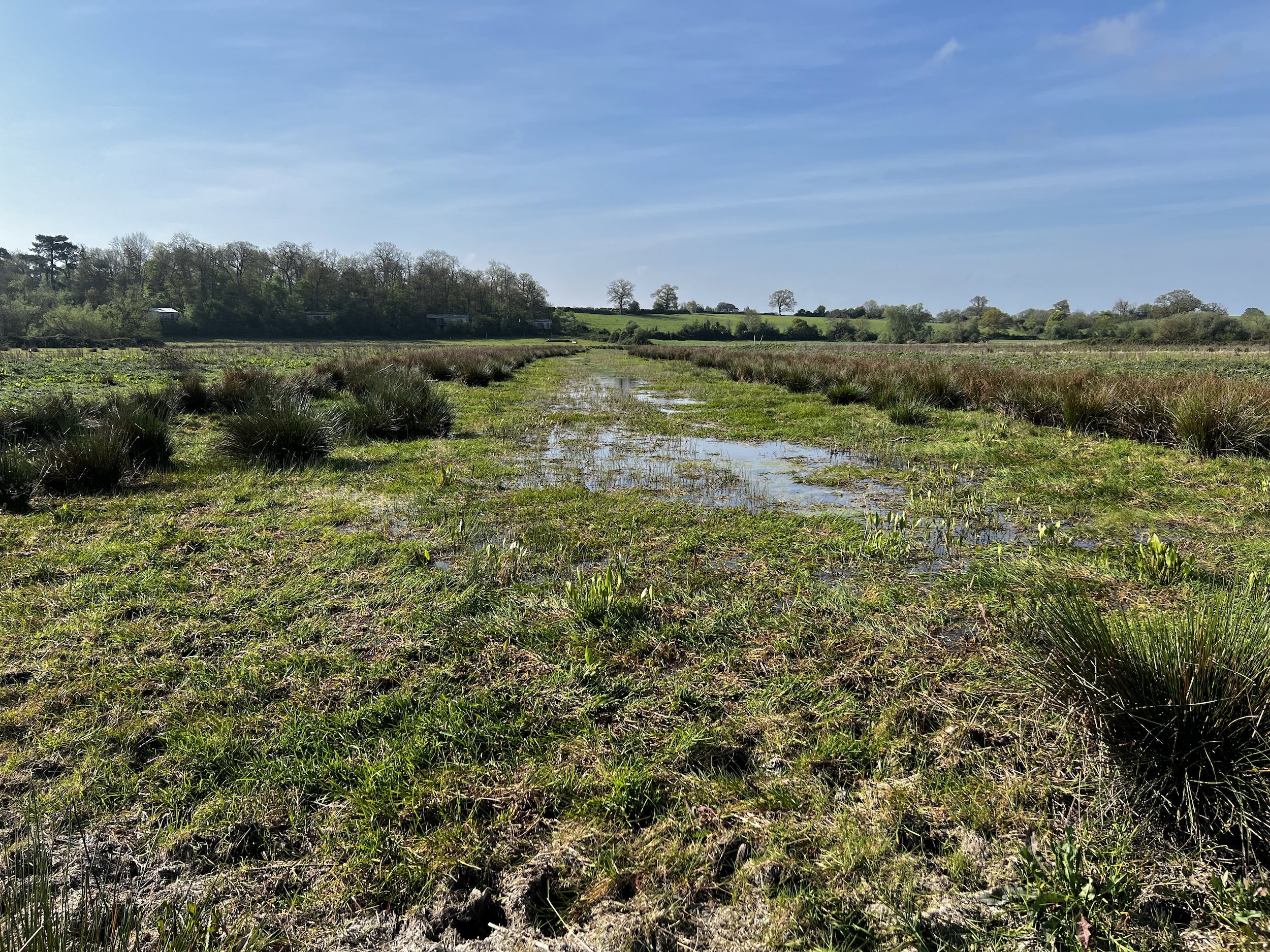 scrapes low water level on Elmore Estate