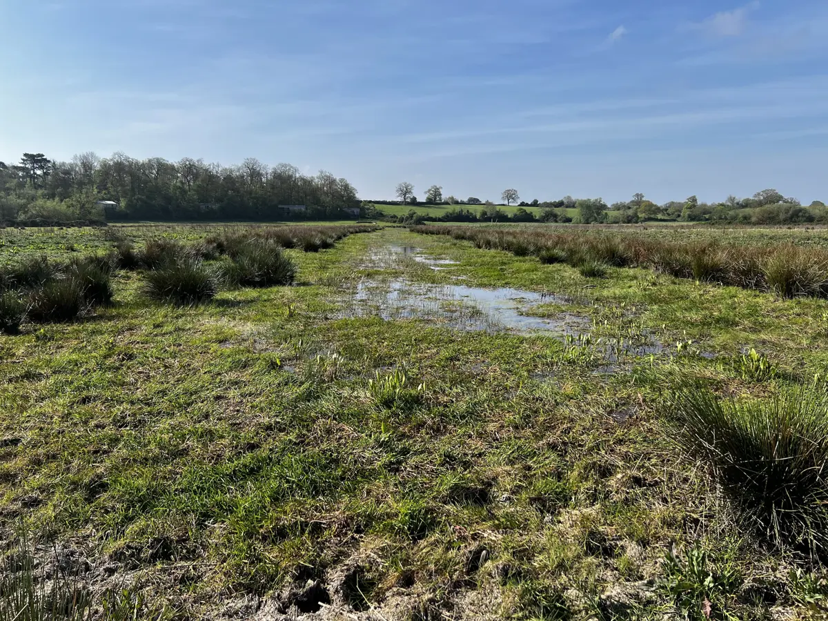 scrapes low water level on Elmore Estate