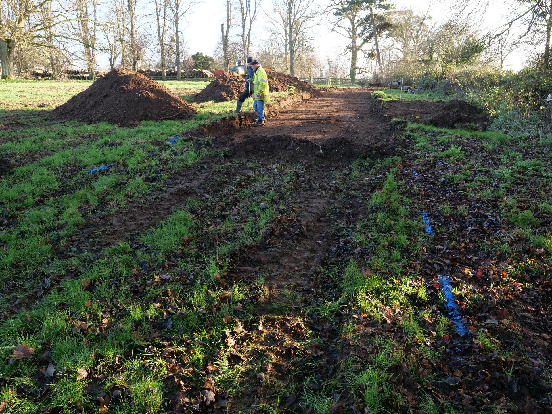 Work On Treehouses Starts