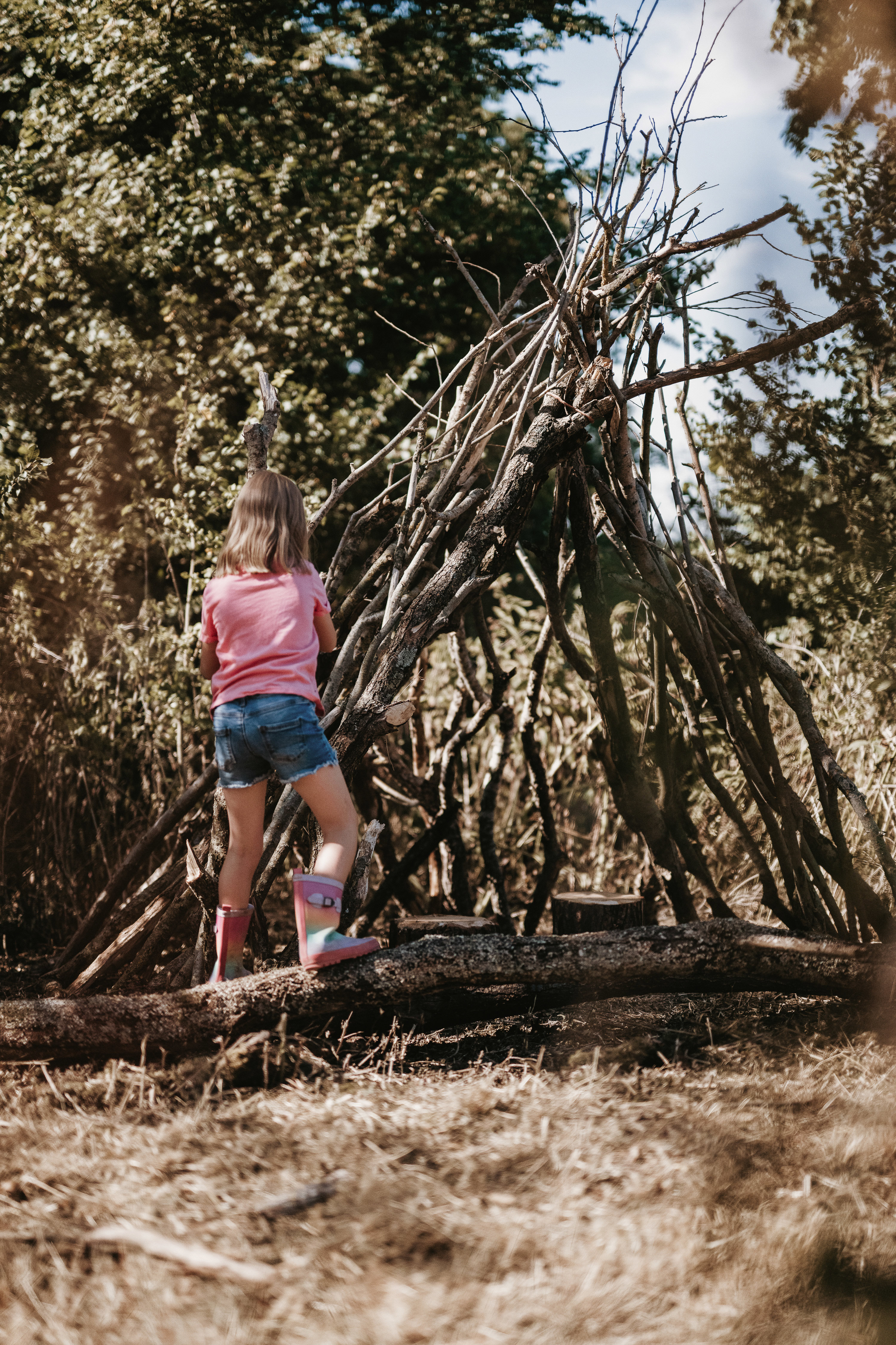Treehouse 56
