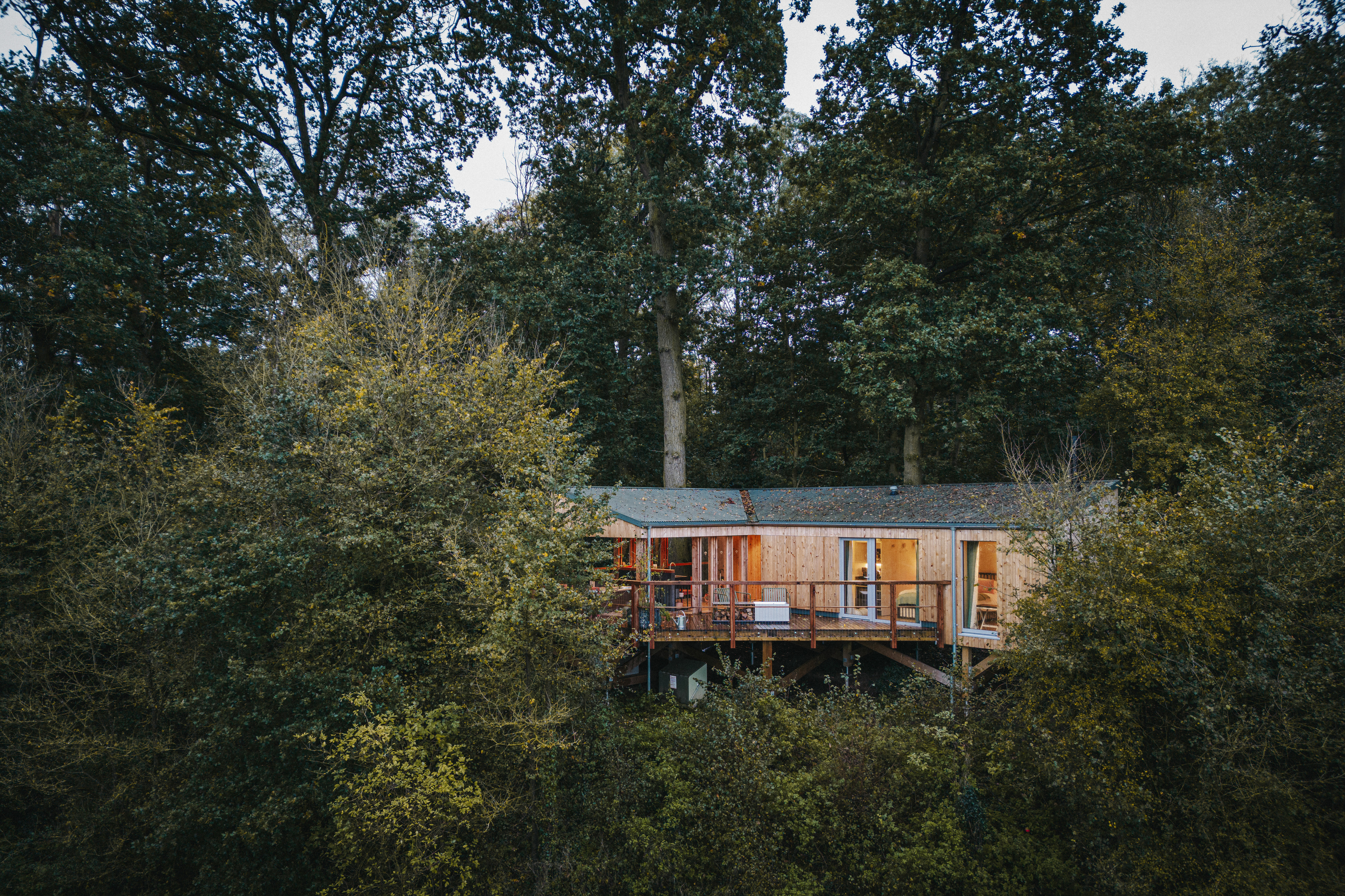 Treehouses Early Morning 014